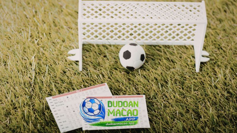 Chơi cá độ bóng đá người chơi thua nhiều hơn thắng