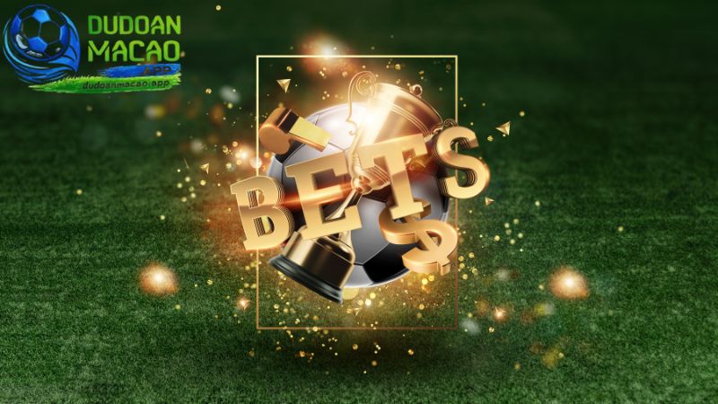 Cần phải có kinh nghiệm để chơi cá độ bóng đá luôn thắng