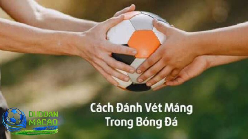 Đánh vét mảng trong cá độ bóng đá hiệu quả