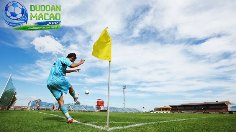 Các bước soi kèo một trận đấu bóng đá chuyên nghiệp