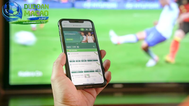 Anh em cược thủ không nên soi nhiều trận cùng lúc