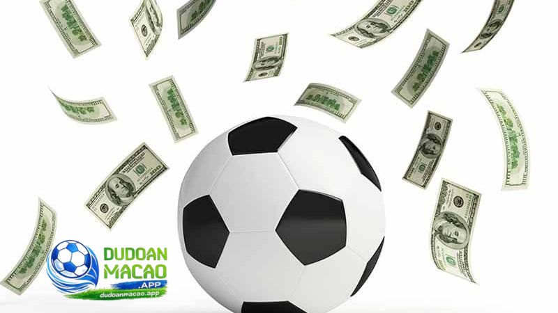 Không theo dõi biến động kèo là sai lầm anh em cần tránh