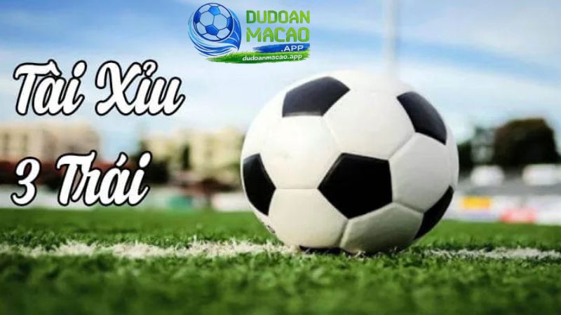 Kèo tài xỉu 3 - 3.5 trái là kèo bóng đá được nhiều người lựa chọn