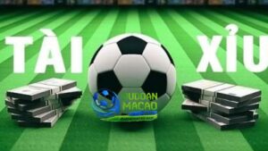 Hãy theo dõi nhịp độ và diễn biến thực tế trên sân