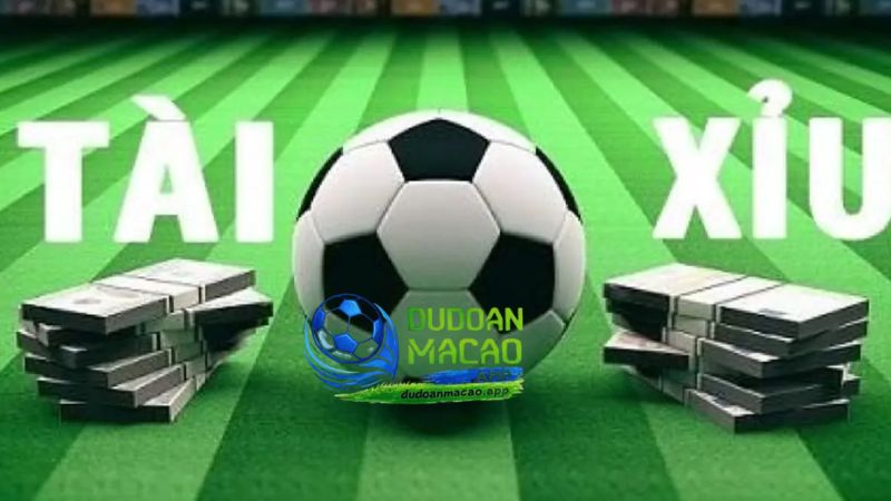 Hãy theo dõi nhịp độ và diễn biến thực tế trên sân