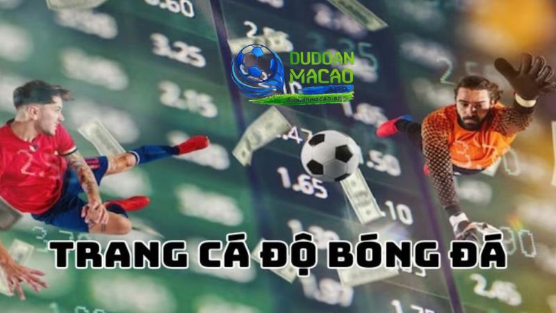 Có nhiều kiểu trang cá cược anh em nên tránh xa