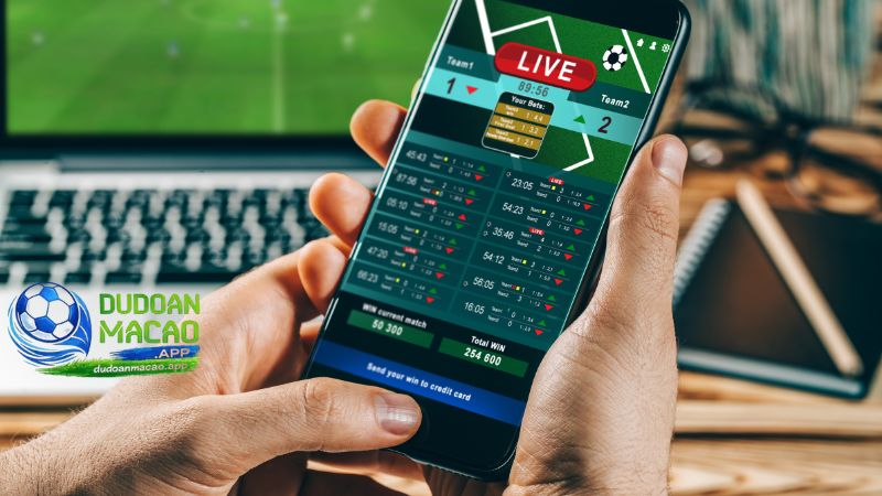 Anh em cần phải chọn trang web cá cược uy tín